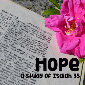 Bible Study on Isaiah 35